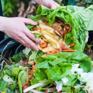 Reduce Food Waste with These Simple Zero Waste Recipes